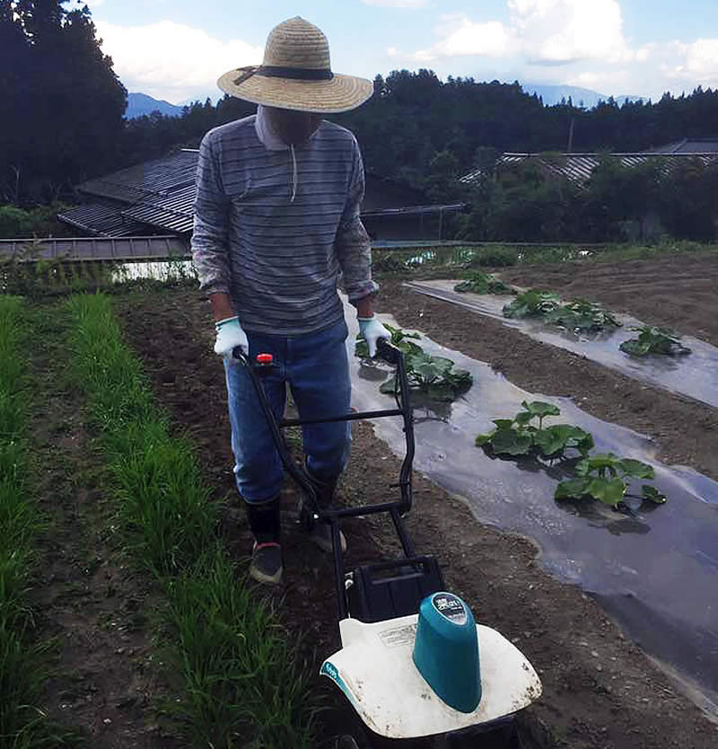 農作業もパンづくりの一部です